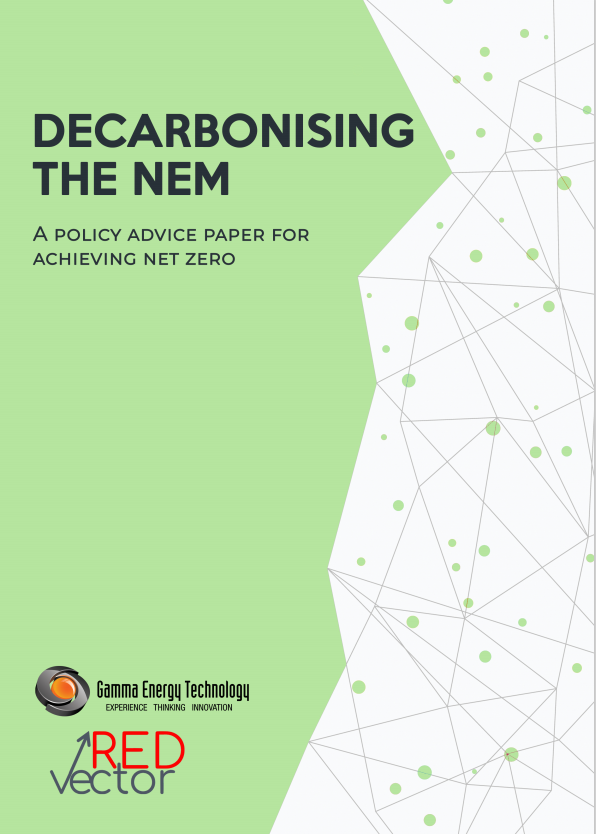 A Policy Advice Paper for Achieving Net Zero